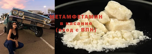 прущие грибы Карпинск
