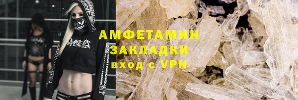прущие грибы Карпинск