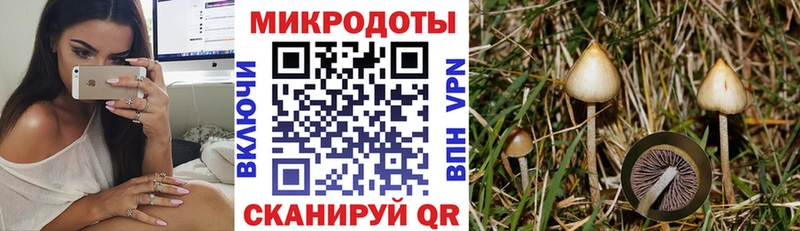 Псилоцибиновые грибы Psilocybe  мега рабочий сайт  Стерлитамак 