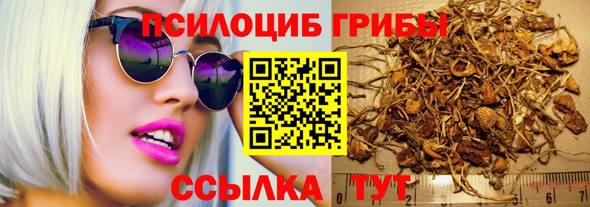 Стерлитамак  Галлюциногенные грибы прущие грибы  Галлюциногенные грибы ЛСД  наркошоп  Вход с VPN 